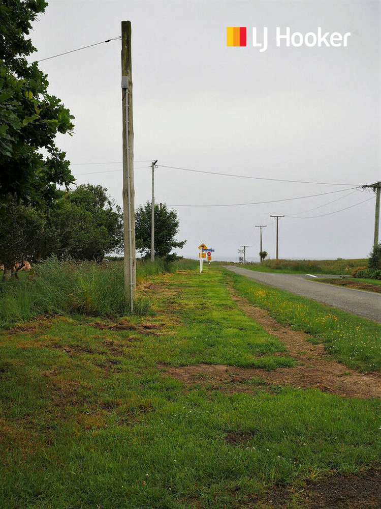 22 Stafford Street Hampden_13