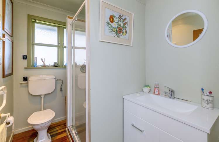 66 Winchester Street Levin_7