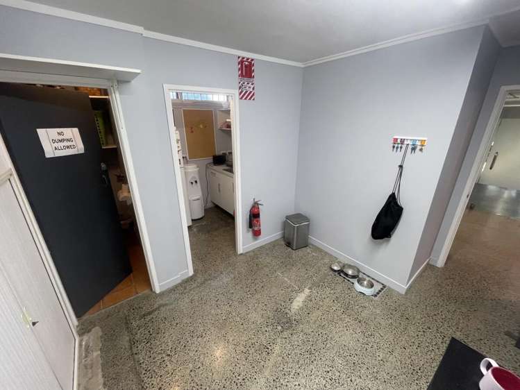 13 Pollen Street Grey Lynn_6