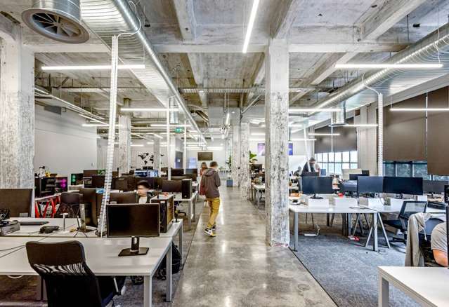 24 Balfour Road Parnell_2