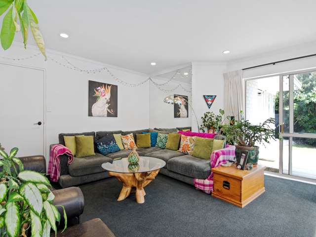 5b Hibiscus Avenue Mount Maunganui_2