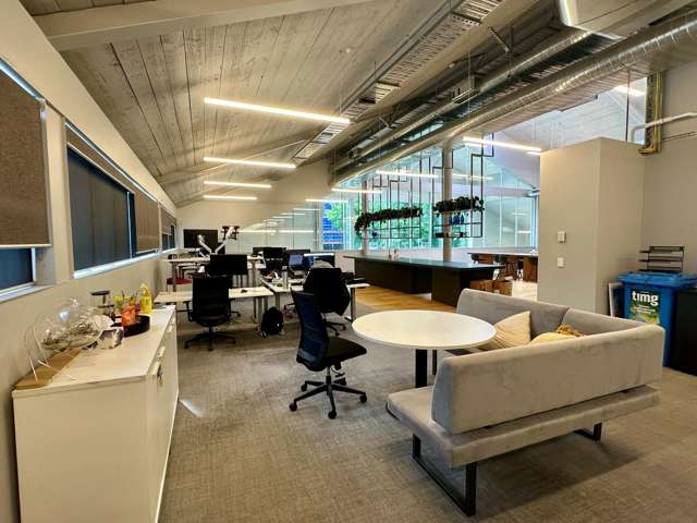 24 Balfour Road Parnell_4