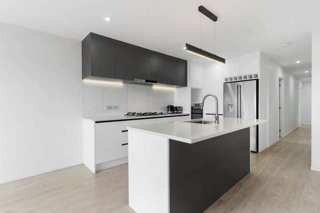 82 Joseph Street Flat Bush_4