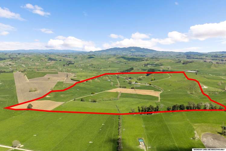 58 Nicholson Road Piarere_41