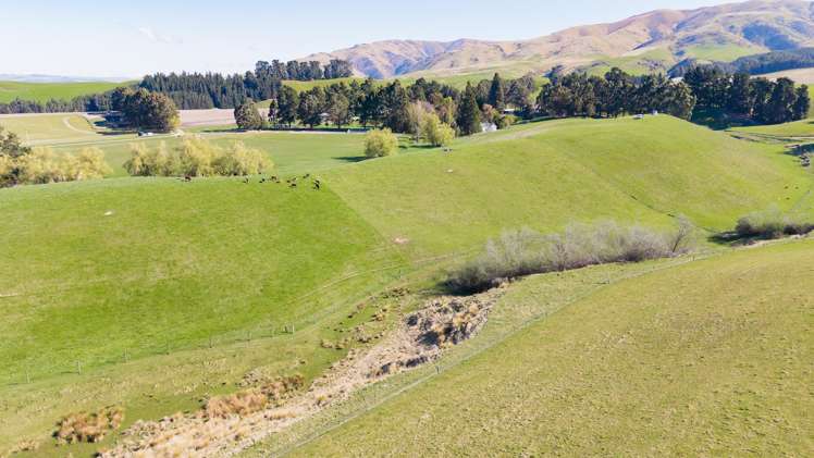 94 Douthwaites Road Waimate Surrounds_29