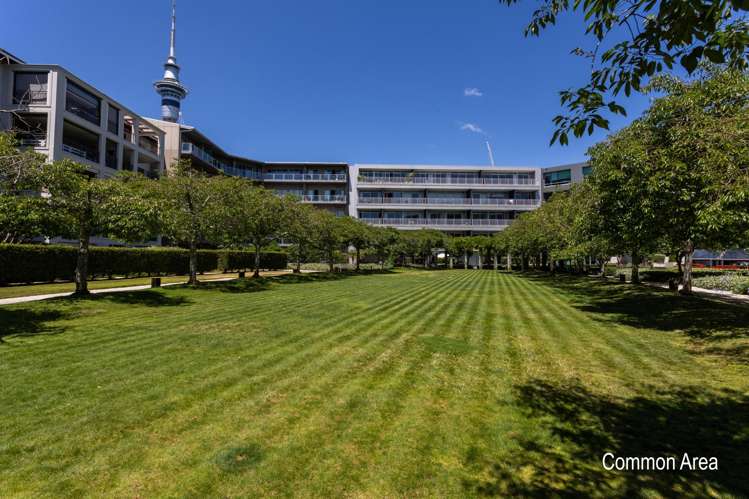 2B/132 Customs Street West Auckland Central_23