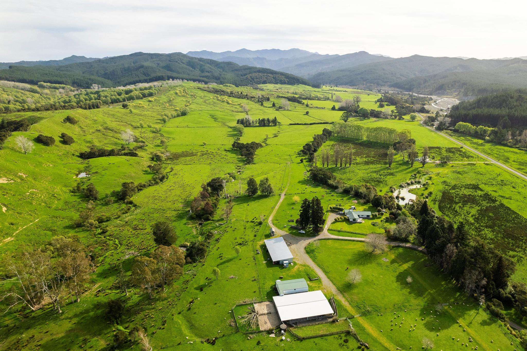 Leading rural portfolio offers prime opportunity, All things property