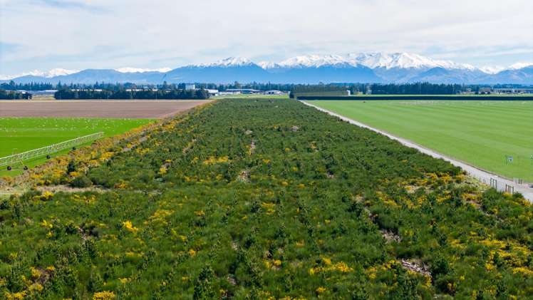 Company Road Ashburton_9