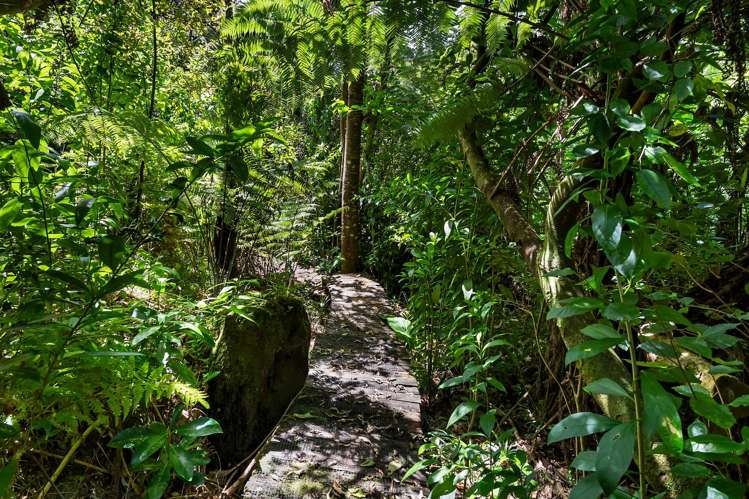 40 Goodall Street Hillsborough_20