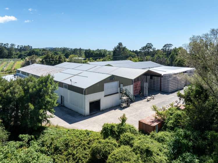 153 Rea Road Katikati_2