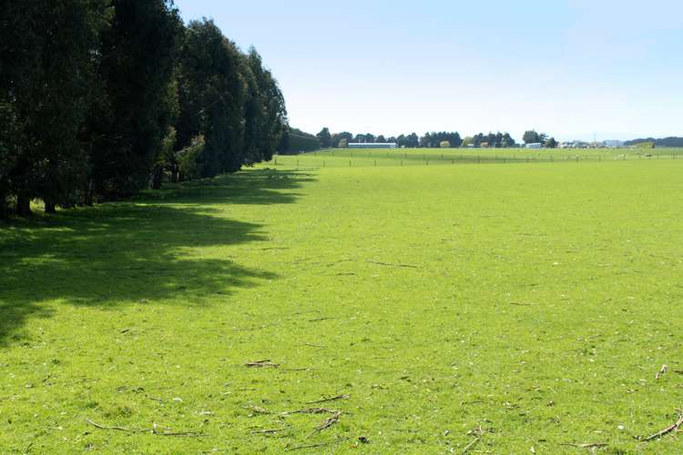 865 Lorne Dacre Road Winton Surrounds_3