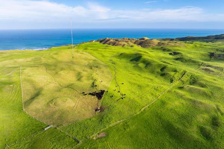 Pinaki Road Dargaville_9