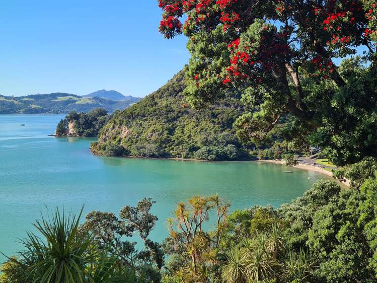 1999 Wyuna Bay Road Coromandel_17