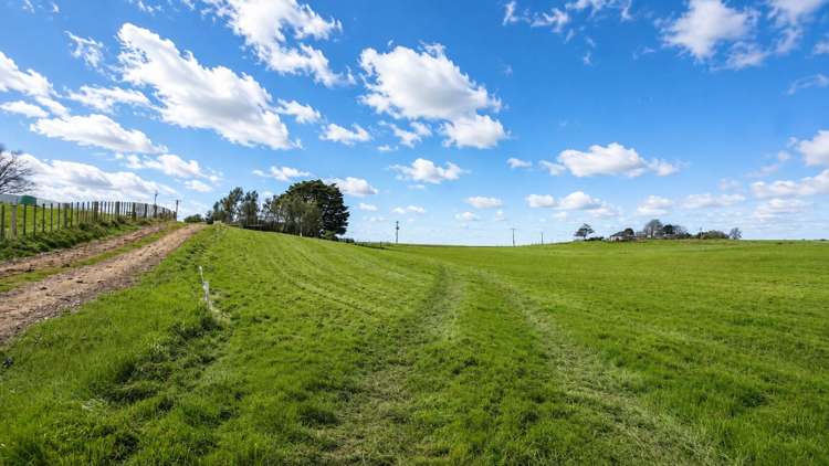 408 Waerenga Road Te Kauwhata_26
