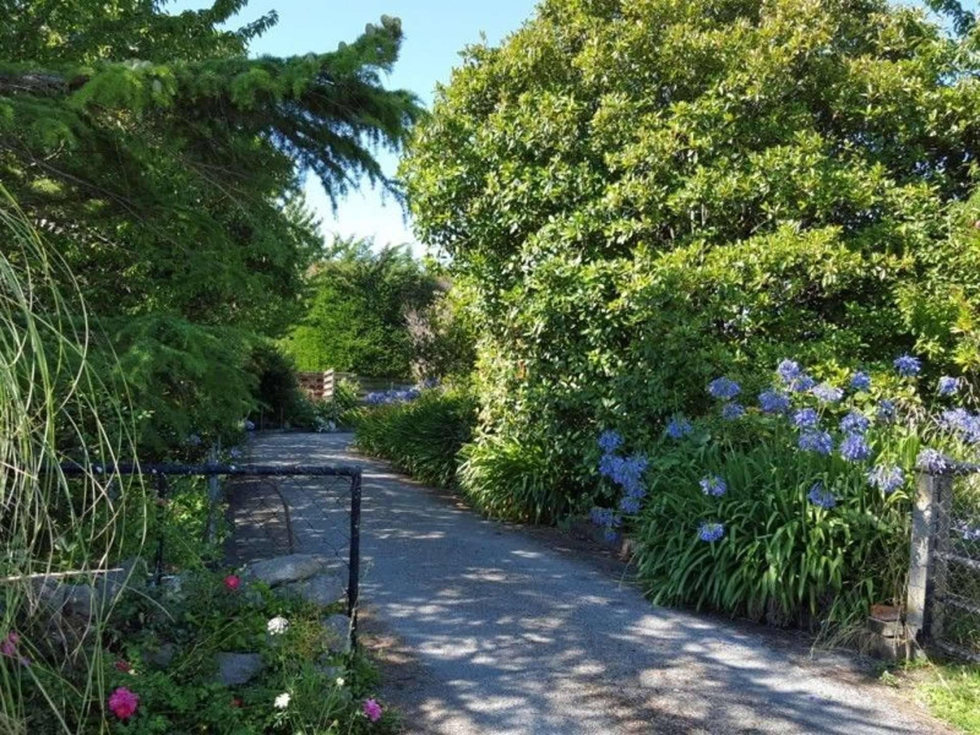 83 Bluff Rangitumau Road Rangitumau_0