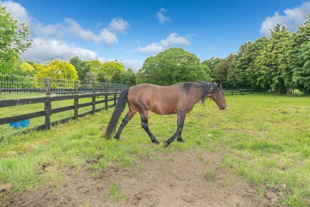 211c Discombe Road Tamahere_2