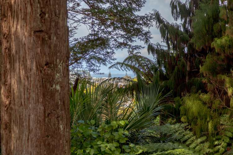 111a Chevron Crescent Whangamata_5