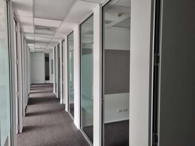 15 Murphy Street Thorndon_3