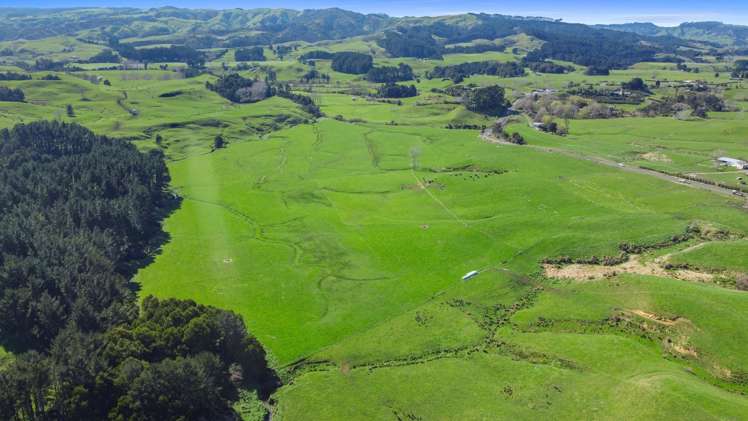 State Highway 23, Te Uku Waikato Surrounds_11