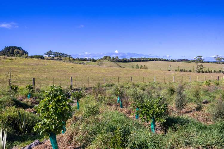Lot Lot 2/127a Rangitane Road Kerikeri_10