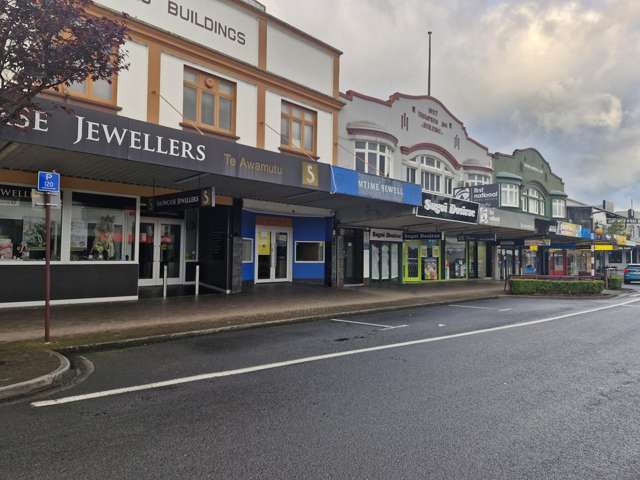 25 Alexandra Street Te Awamutu_3