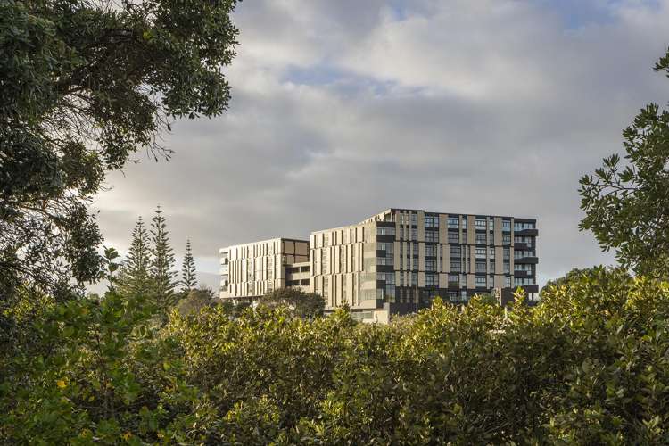 48 Esmonde Road_2