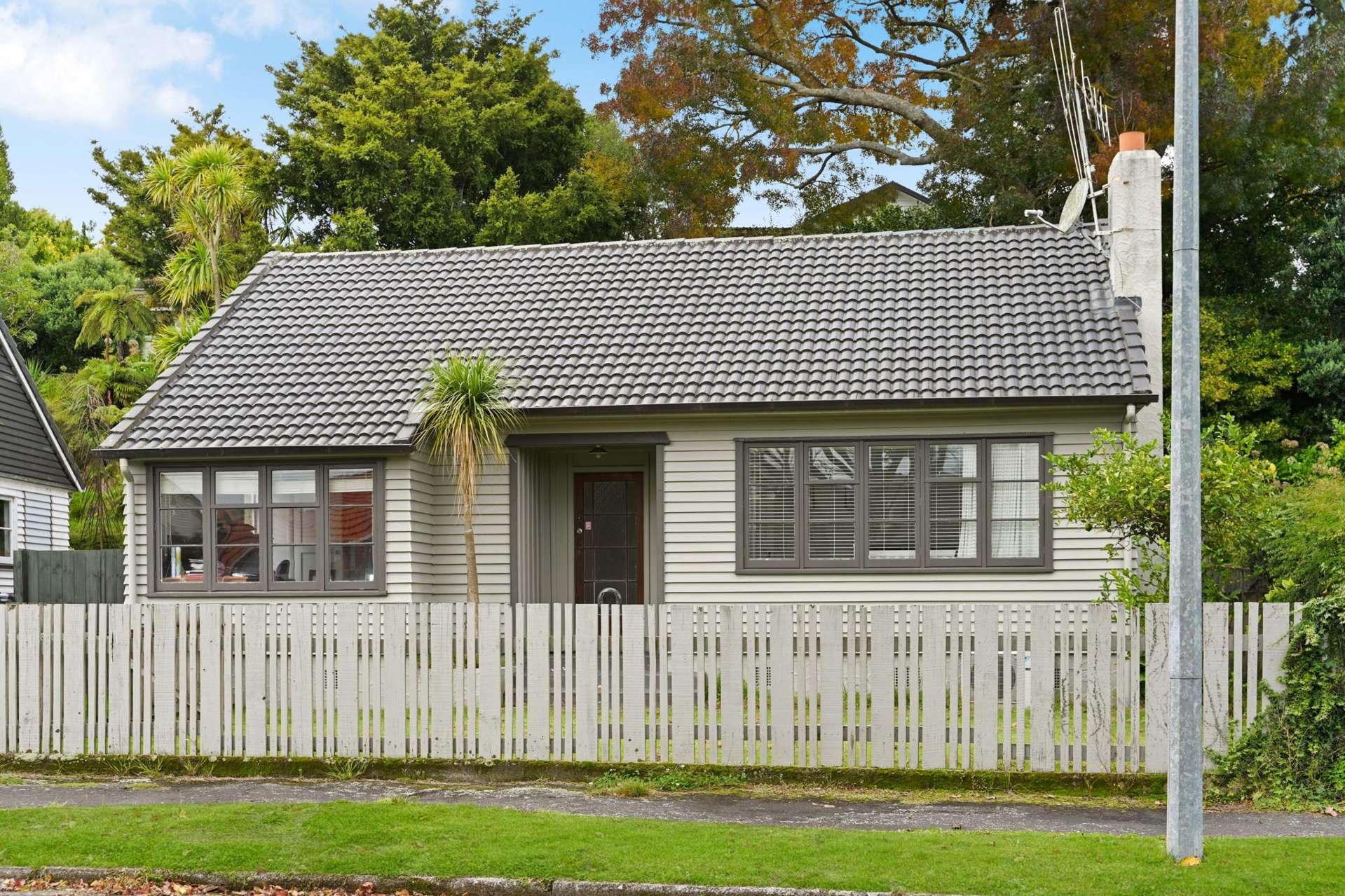 36 Galway Avenue Hamilton East_0