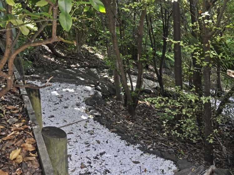 14 Oceana Heights Tairua_29