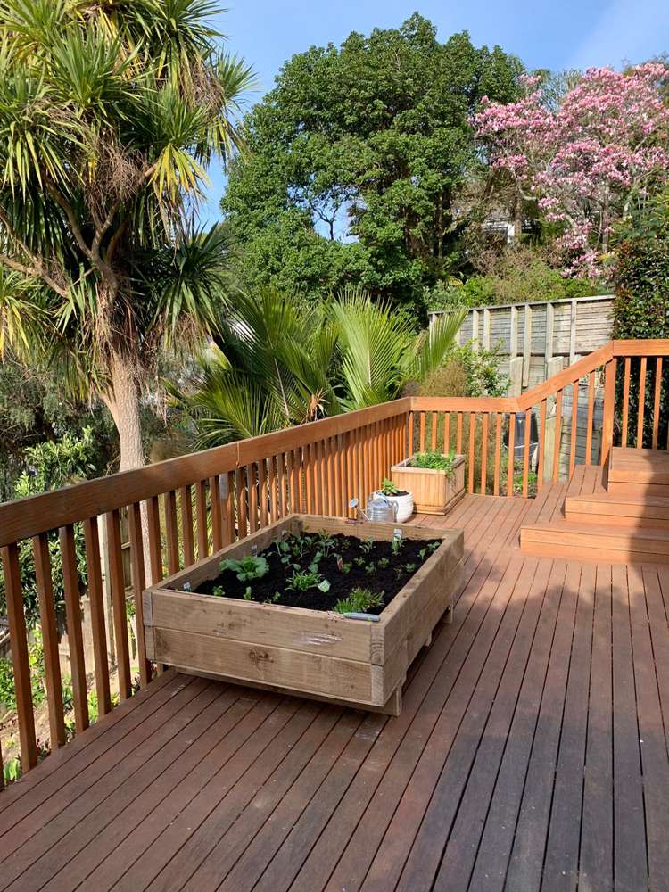 3 Alexander Street Kingsland_8