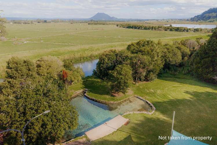 201 Kokako Heights Matata_9