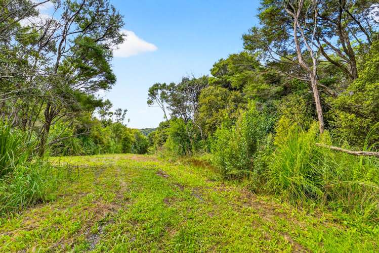 495 Rahuikiri Road Leigh_13