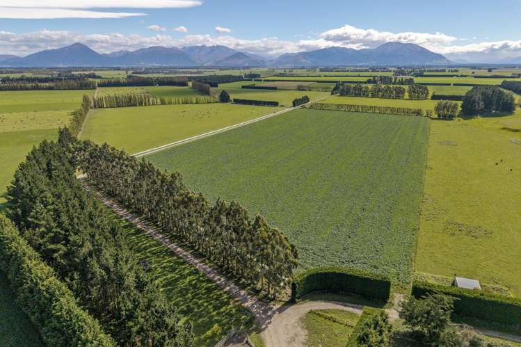 904 Dip Road Methven_7