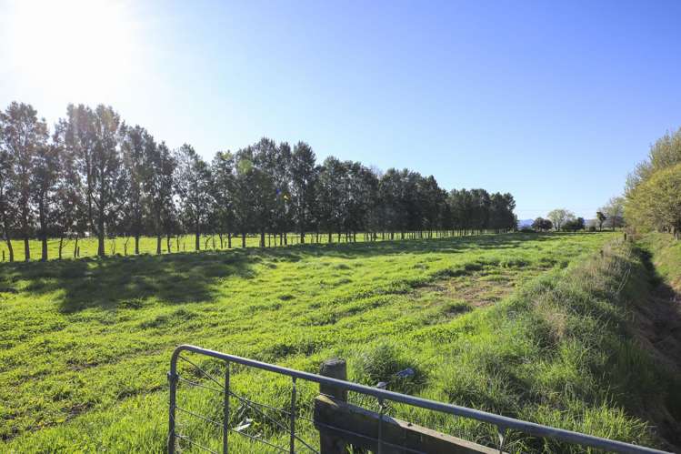 6716 State Highway 2 Hauraki Surrounds_14