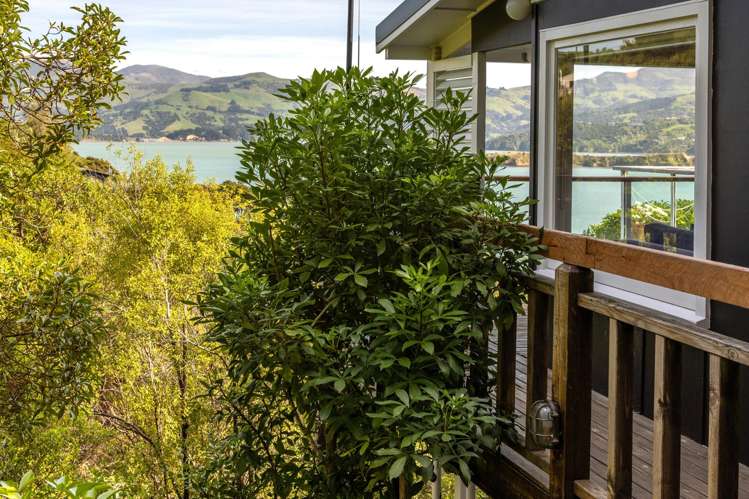 24 Quail Crescent Takamatua_23