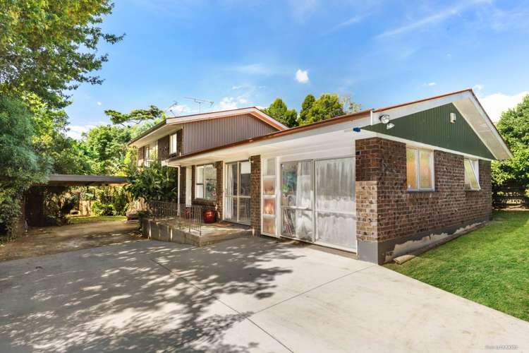 19 Childs Avenue Pukekohe_1