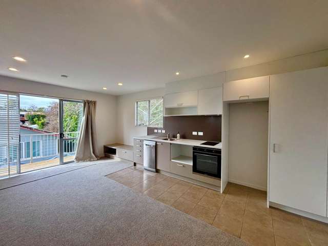592I Whangaparaoa Road Stanmore Bay_1