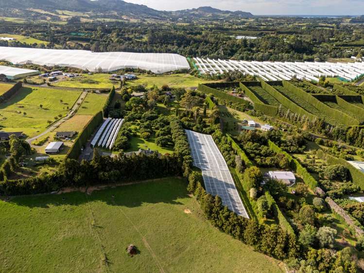 241 Rea Road Katikati_32