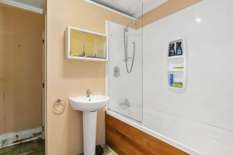 98 Forbury Road Saint Clair_14