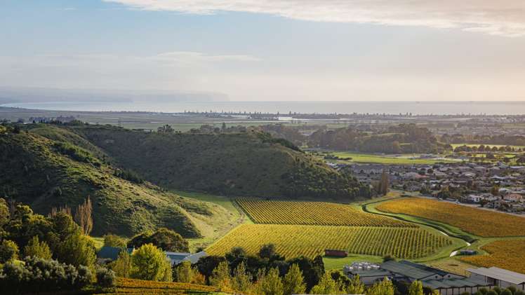 8 Waipunga Street Poraiti_7