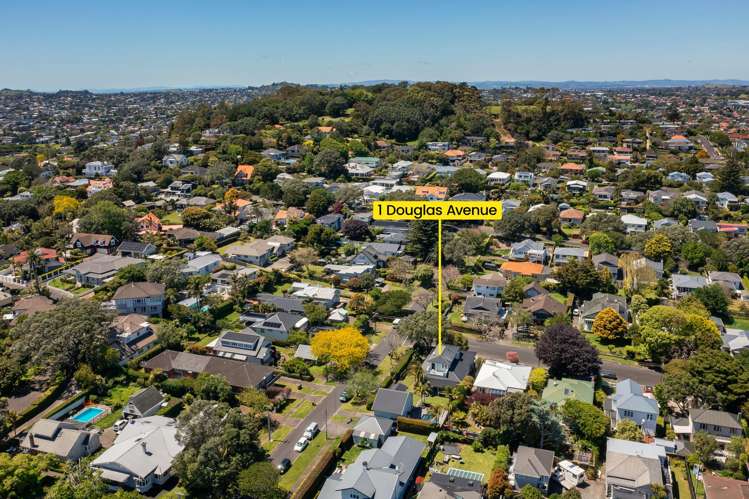 1 Douglas Avenue Mount Albert_43