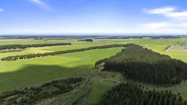 Santoft Road Bulls_3