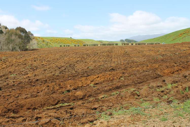 322 Hurford Road Hurford_5