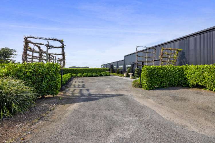 36 Arthur Street Hawera_6