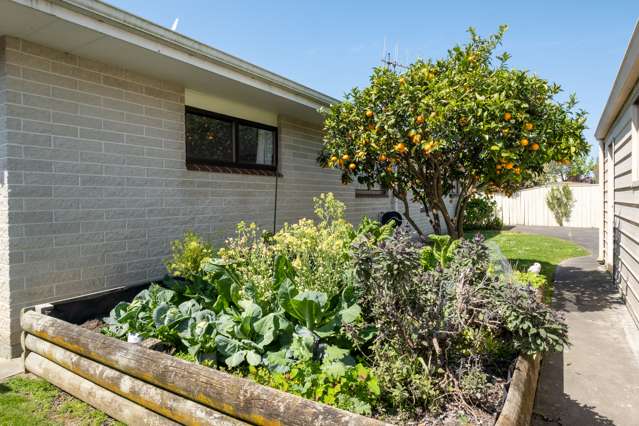 66 O'Dowd Road Taradale_2