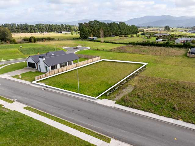 Your Greytown Story Starts Here