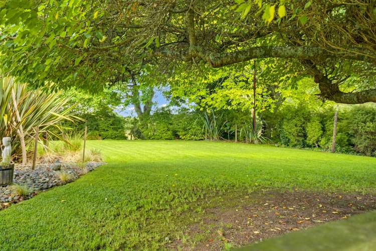 733A Bryce Road Ngakuru_22