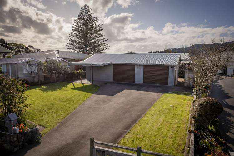 707 Mount Pleasant Road Thames_23