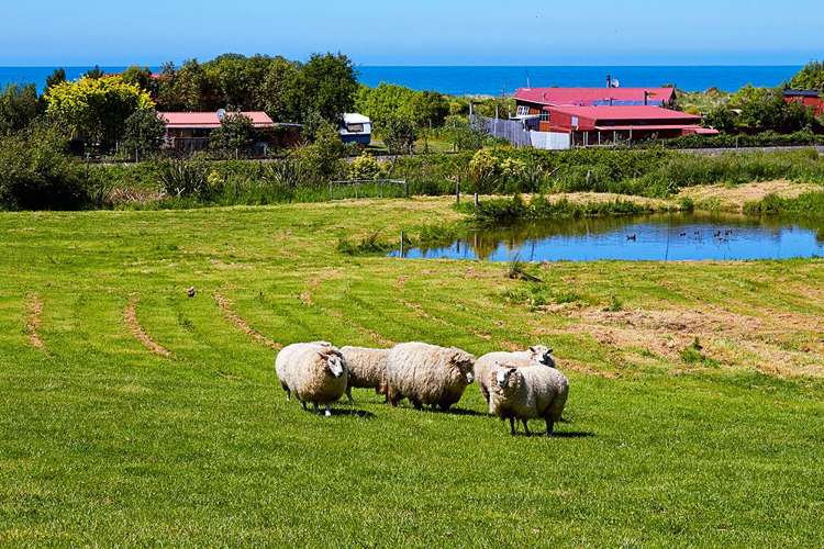 100 Factory Road Hapuku_17