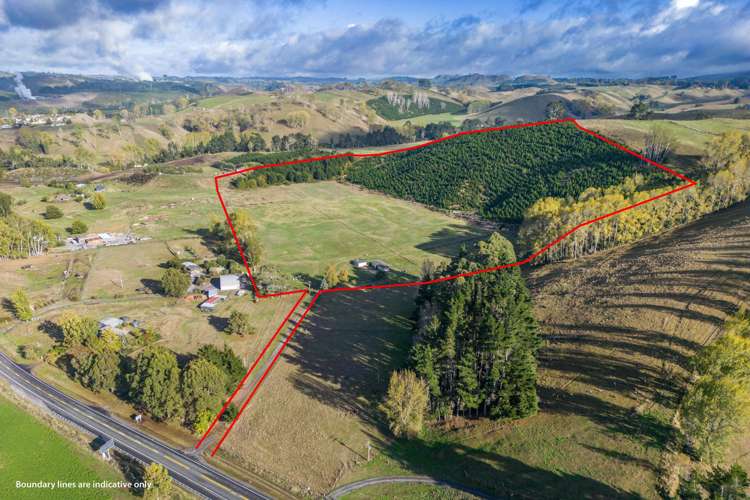 201 State Highway 5 Wairakei_3