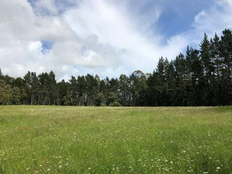 88 Kirikiri Lane Kerikeri Surrounds_7